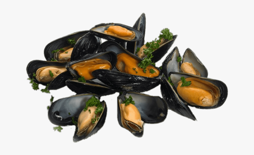 Mejillones Cocidos Con Perejil - Fowey Mussels, HD Png Download