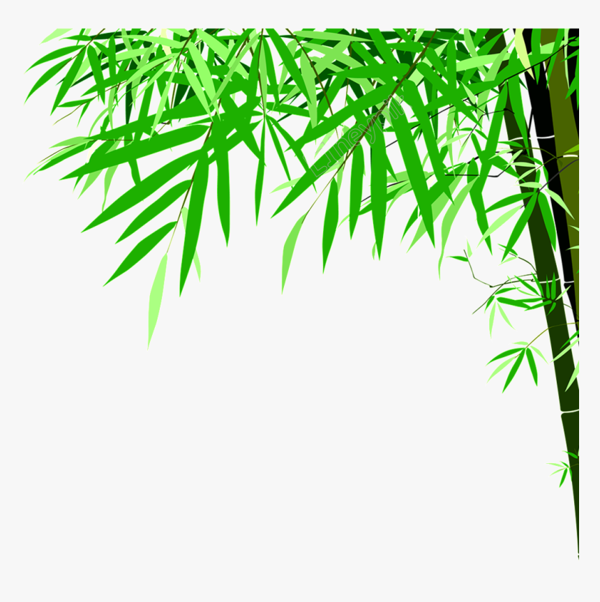 Green Bamboo Png - Detox Foot Patch Annex, Transparent Png