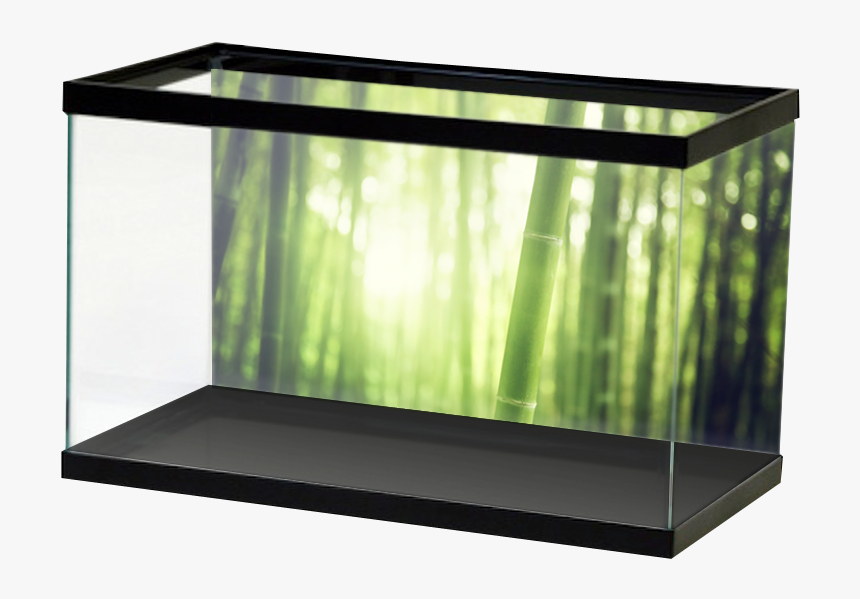 Specialty Bambooforest, HD Png Download