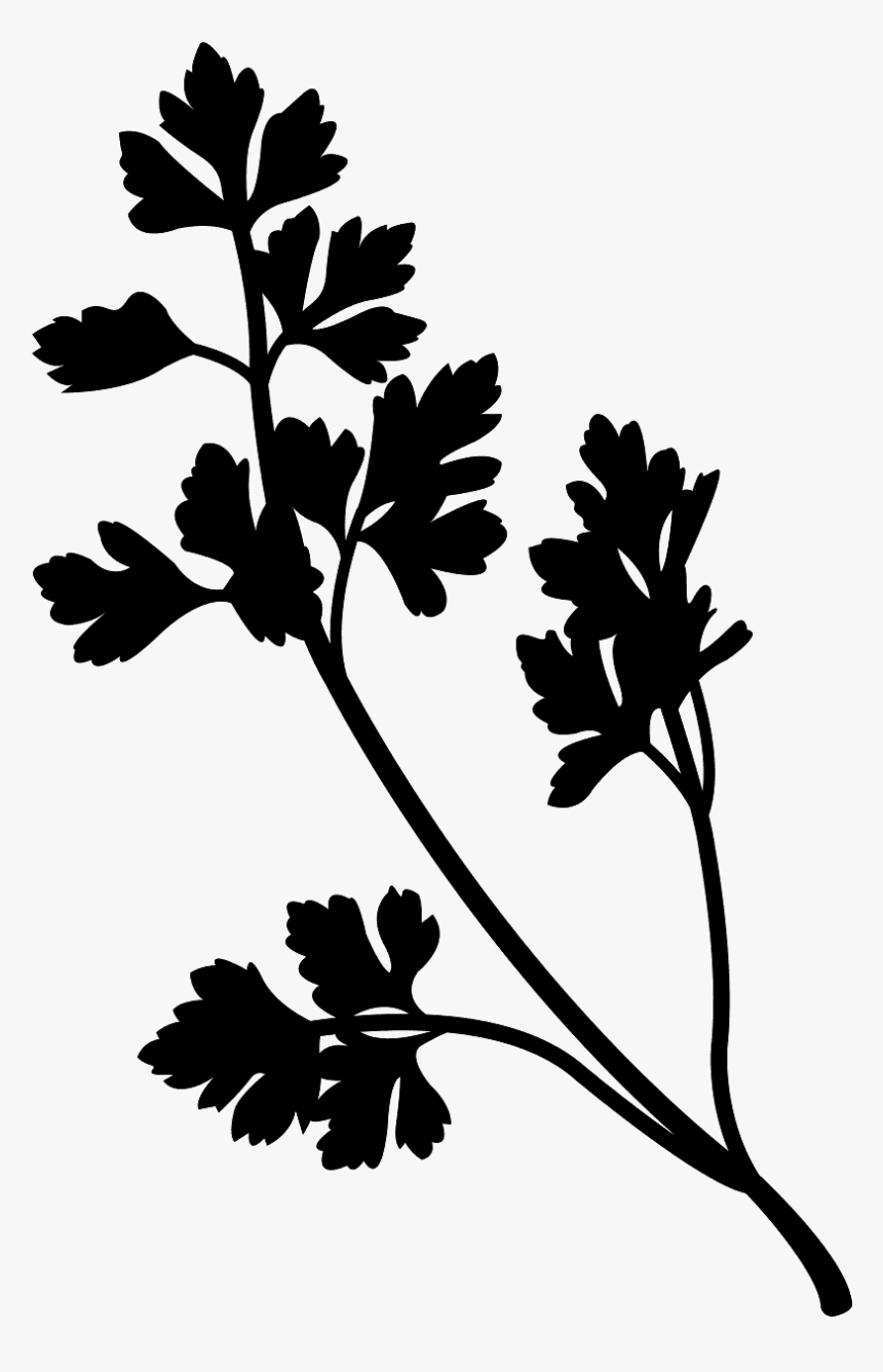 Parsley Silhouette, HD Png Download