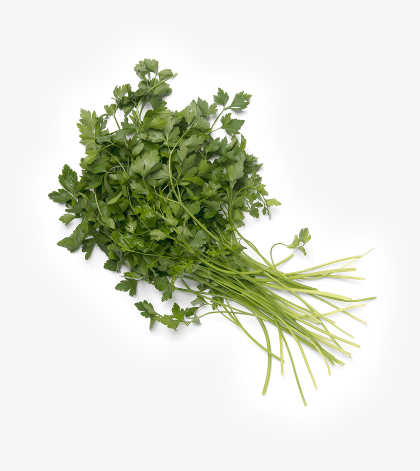 Parsley, HD Png Download