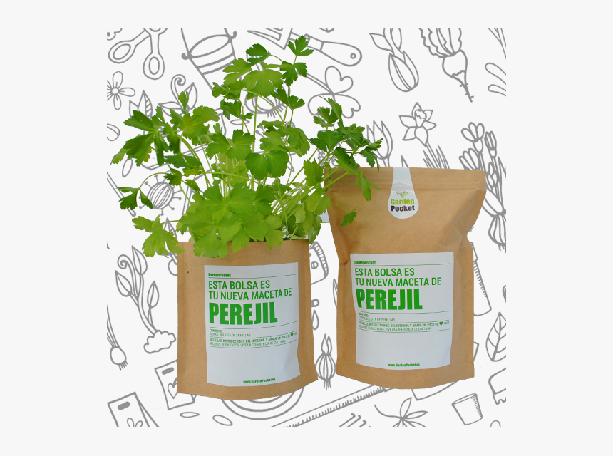 Kit De Cultivo De Huerto Urbano De Flores Aromáticas - Houseplant, HD Png Download