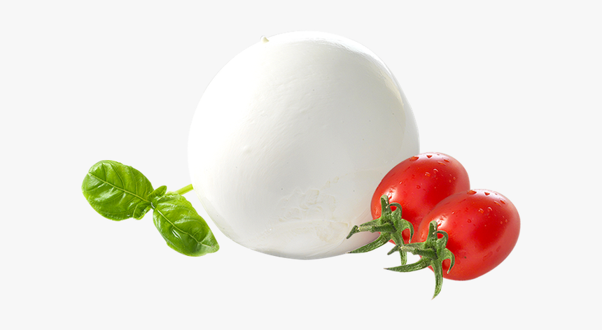 Mozzarella Di Bufala Dop - Mozzarella Di Bufala Png, Transparent Png