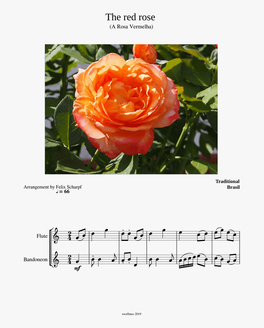 Floribunda, HD Png Download