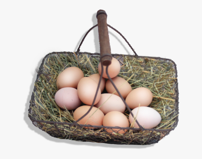Egg, HD Png Download