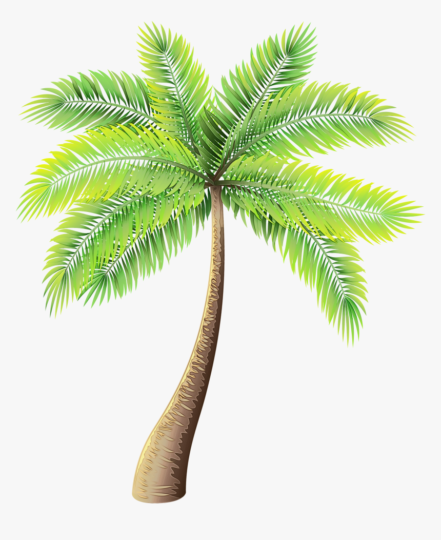 Clip Art Palm Trees Portable Network Graphics Image - Transparent Palm Tree Png, Png Download