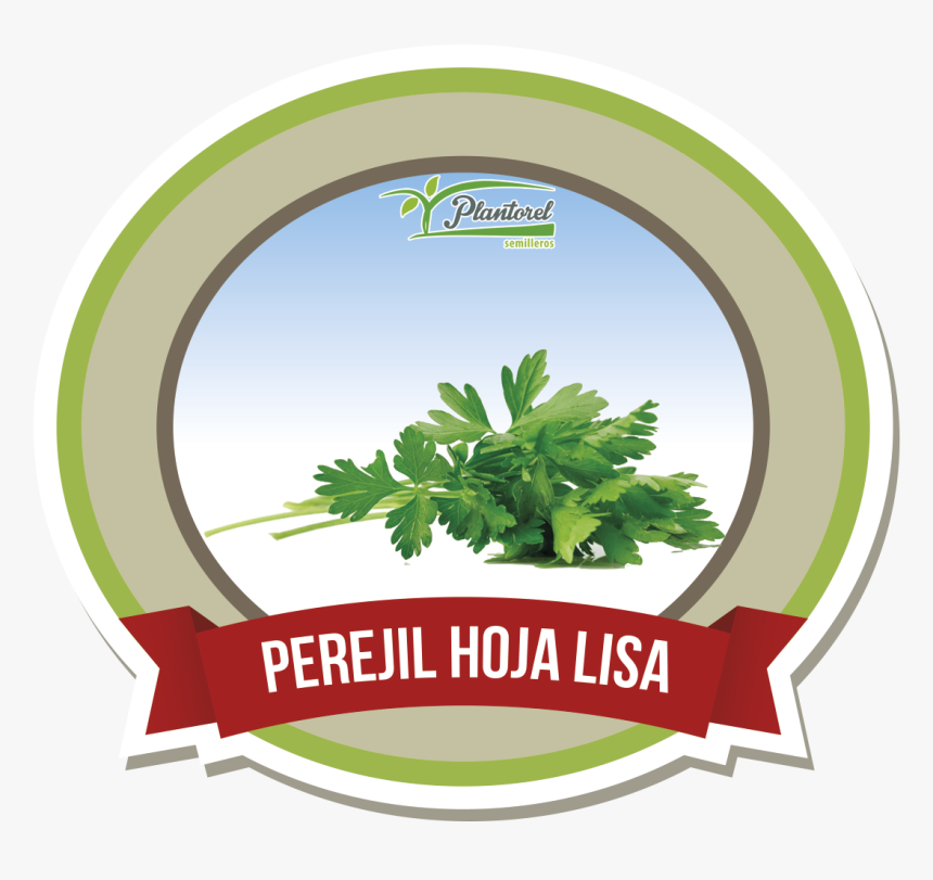 Jeremy Lin Knicks 17, HD Png Download