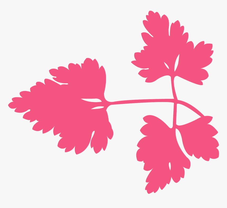 Hojas Perejil Vector, HD Png Download