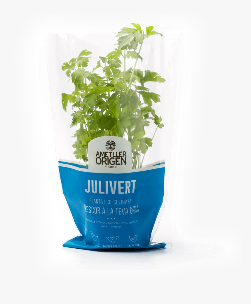 Houseplant, HD Png Download