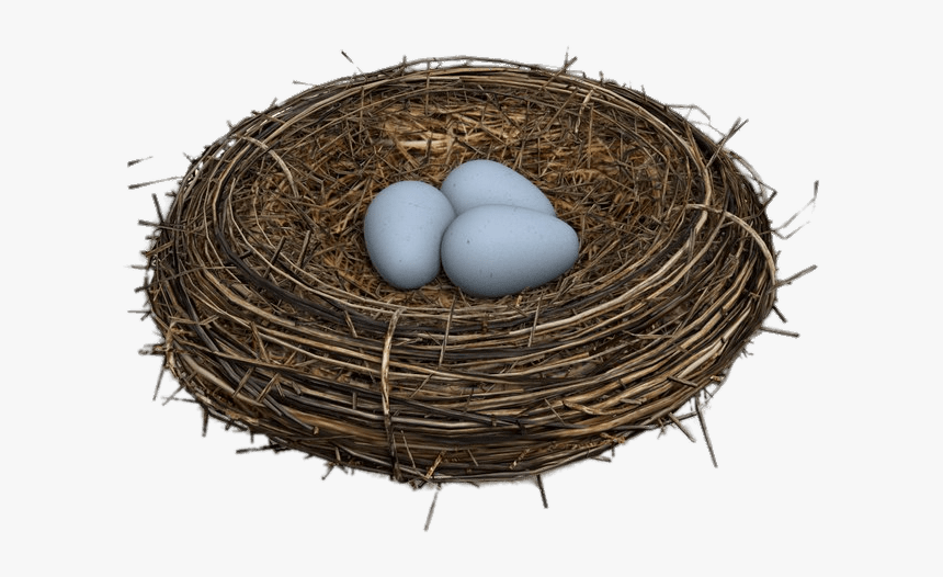Eggs In Bird Nest - Bird Nest Transparent Background, HD Png Download