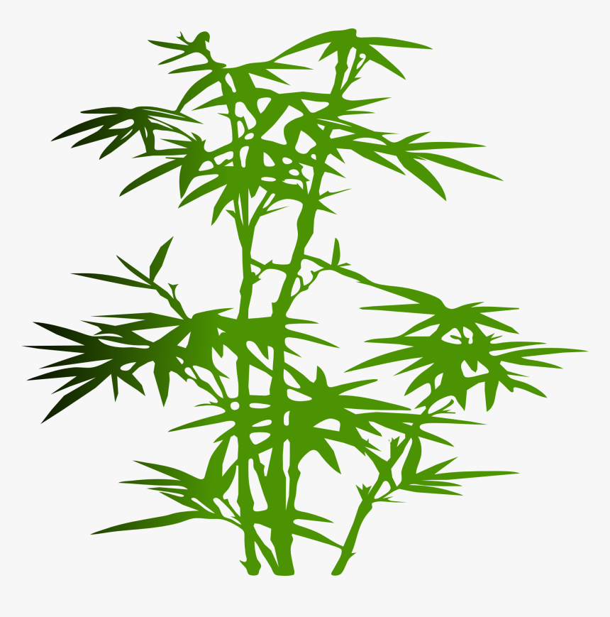 Bamboo Transparent Cartoon, HD Png Download