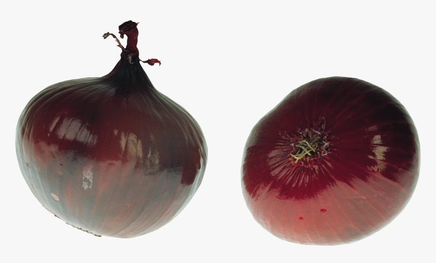 Onion, HD Png Download