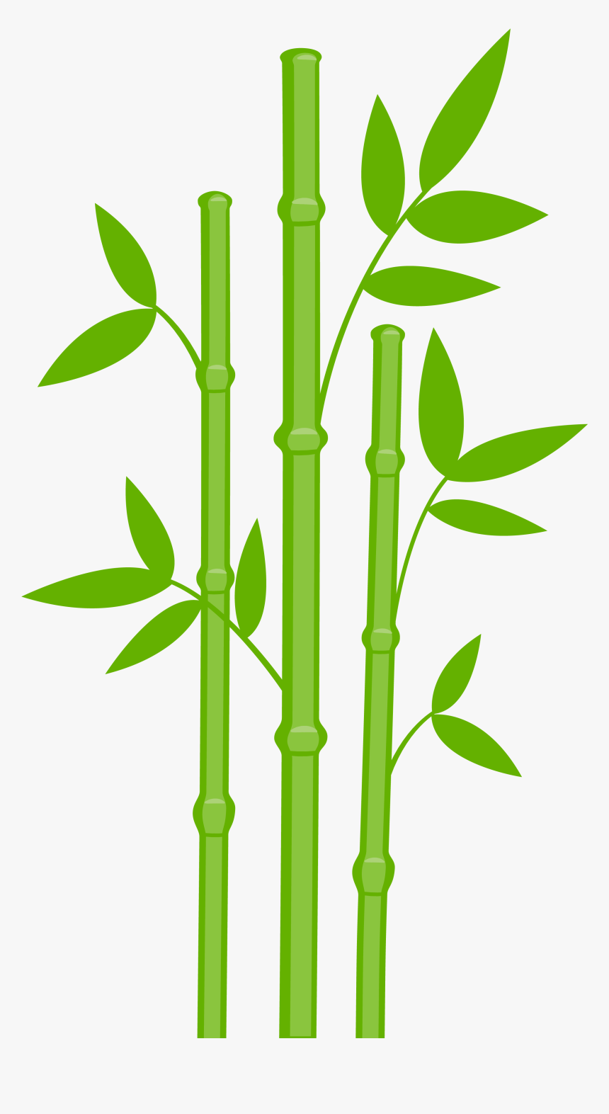 Panda Bear Group Png - Bamboo Clipart, Transparent Png