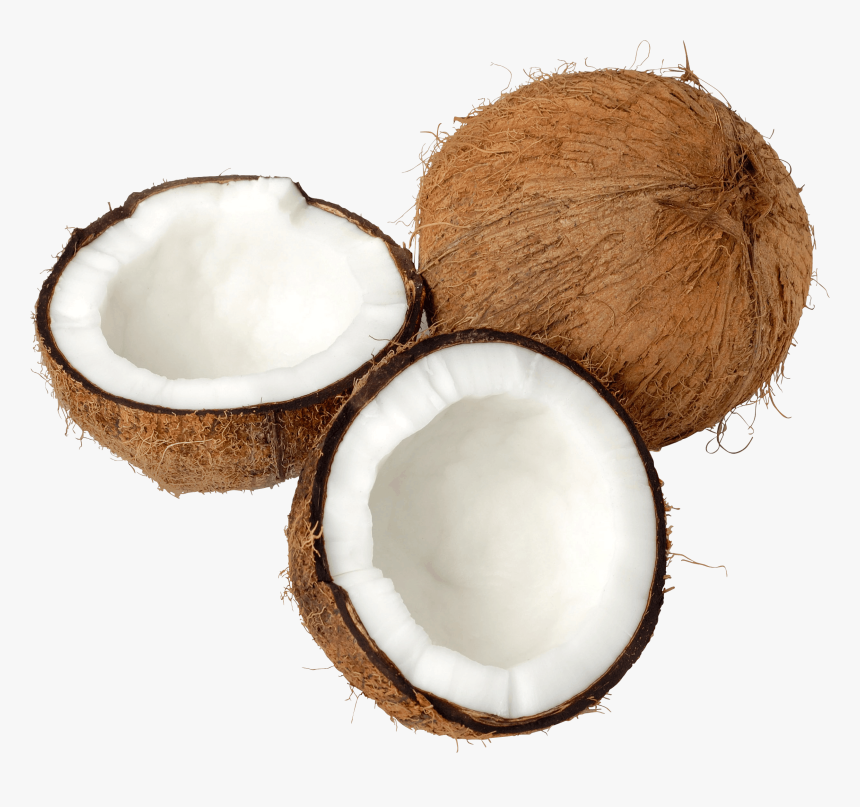 Single Coconut Tree Png - Como Quebrar Um Coco, Transparent Png