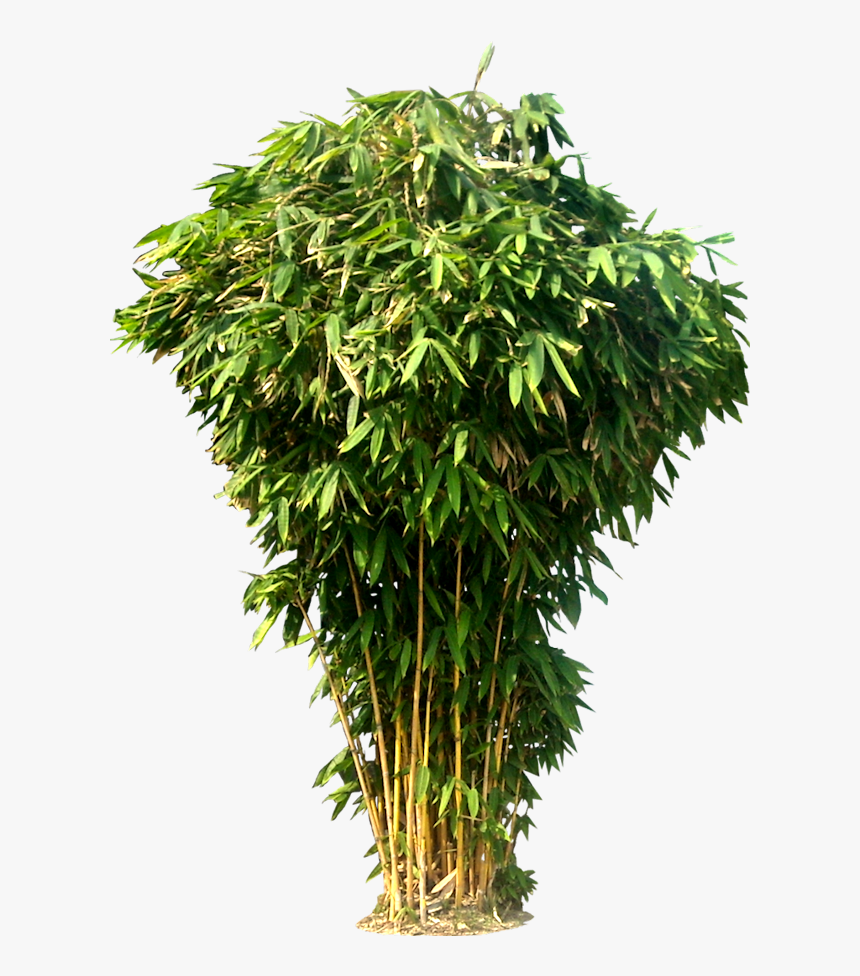 Pin By Awsxcn On Design - Hd New Png Background, Transparent Png