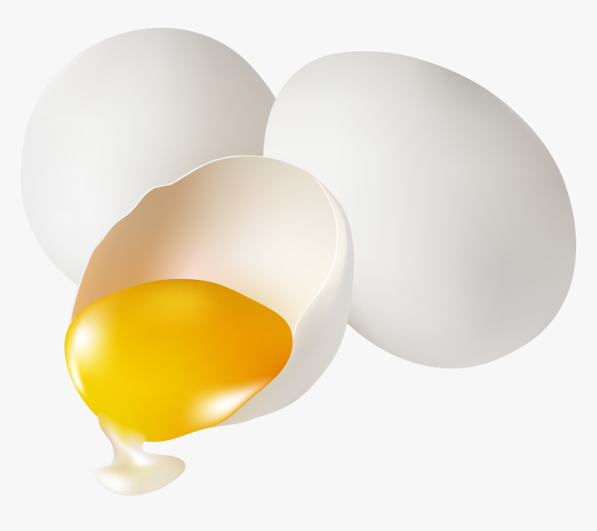 Still Life Photography, HD Png Download