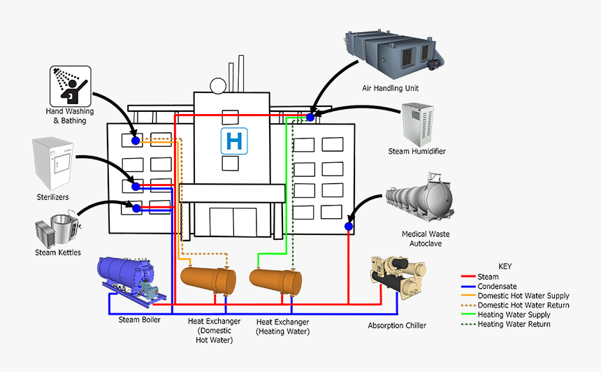 Steam Distribution Diagram - Water Supply System In Hospital, HD Png Download