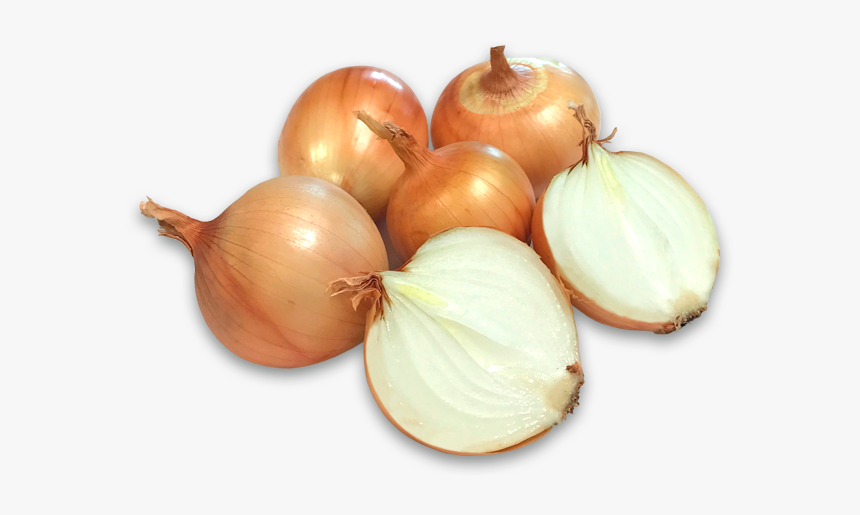 Onions - Cebollas Png, Transparent Png