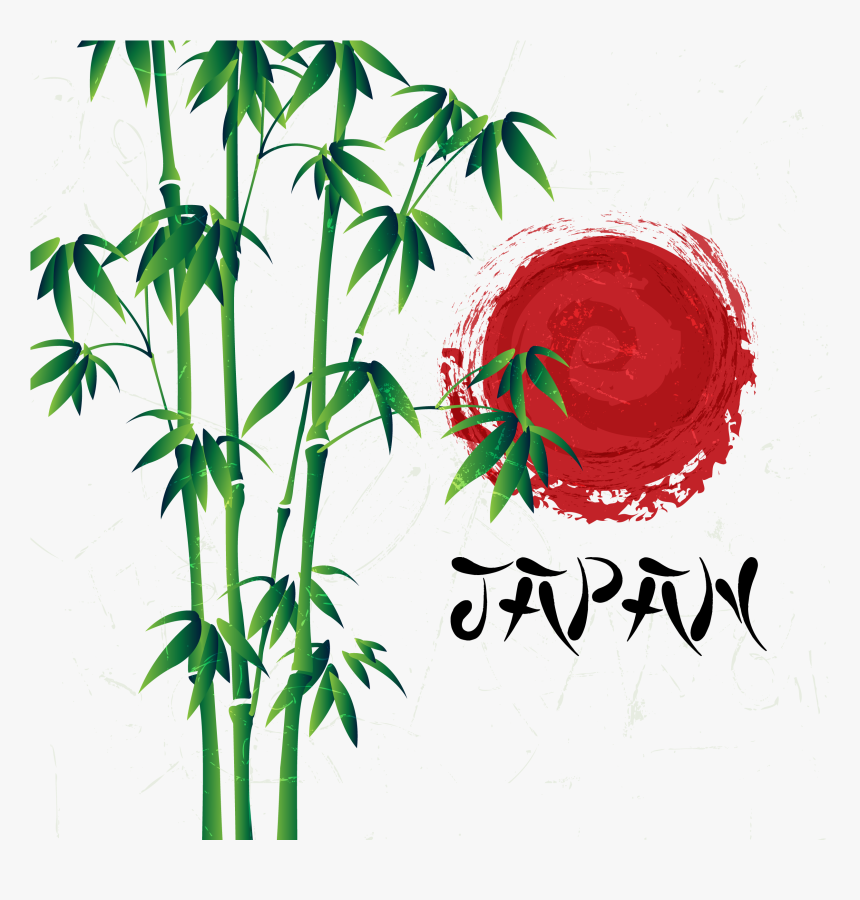 Bamboo Vector Illustrator - Bamboo, HD Png Download