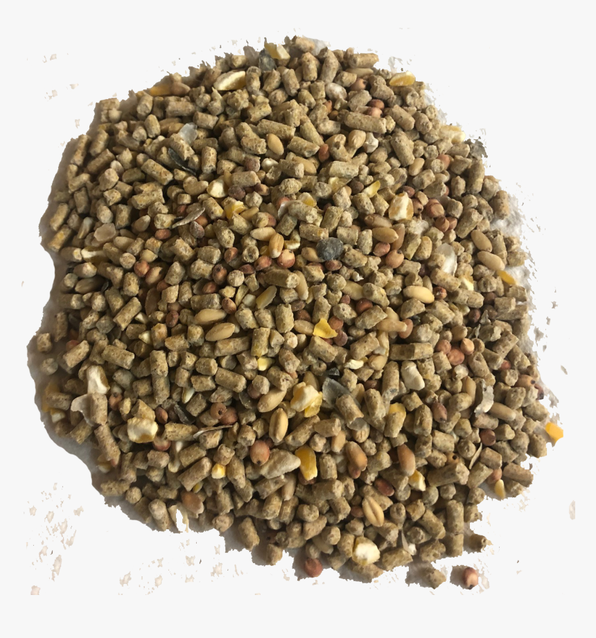 Pebble, HD Png Download