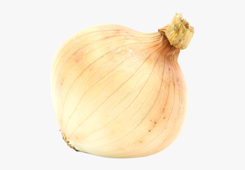 Garlic, HD Png Download