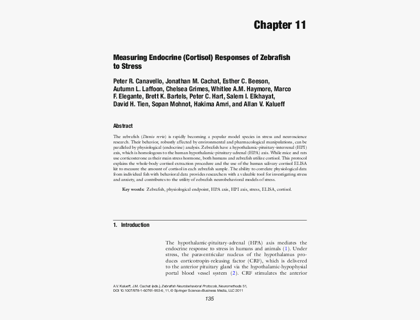 Document, HD Png Download