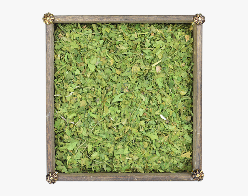 Perejil - Picture Frame, HD Png Download