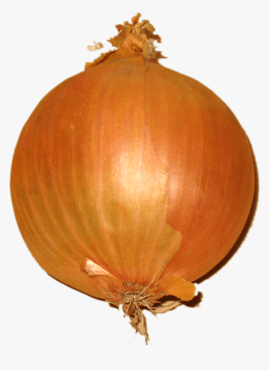 Transparent Plant Emoji Png - Onion Emoji Png, Png Download
