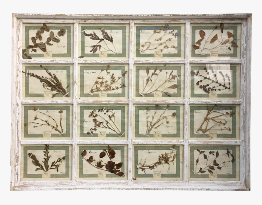 Motif, HD Png Download