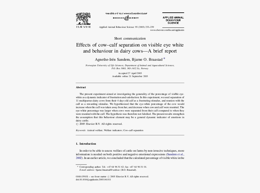 Document, HD Png Download