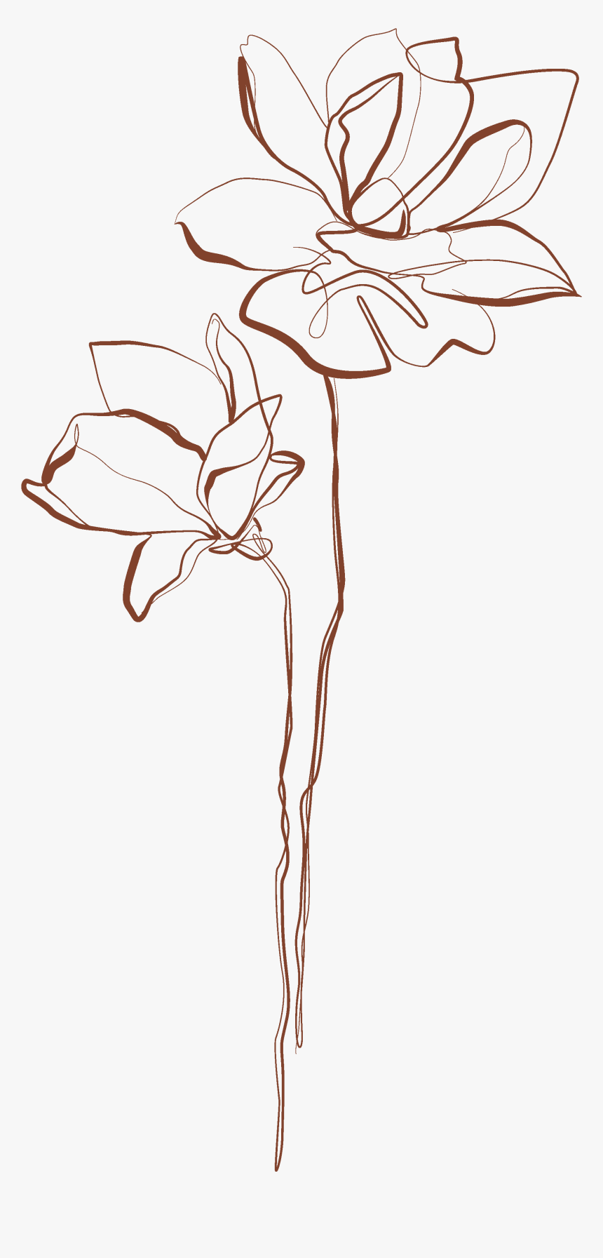 Lily, HD Png Download