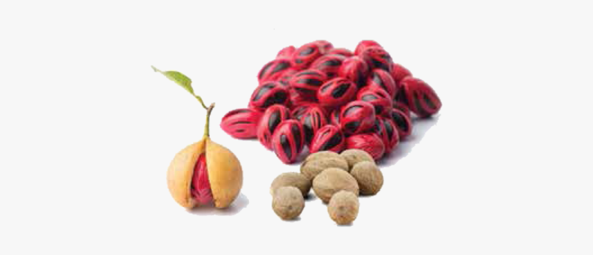 Raw Nutmeg, HD Png Download