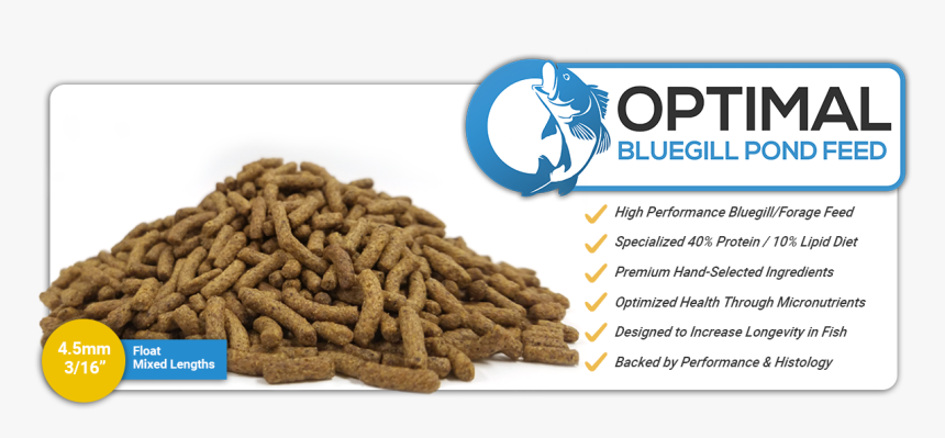 Food, HD Png Download