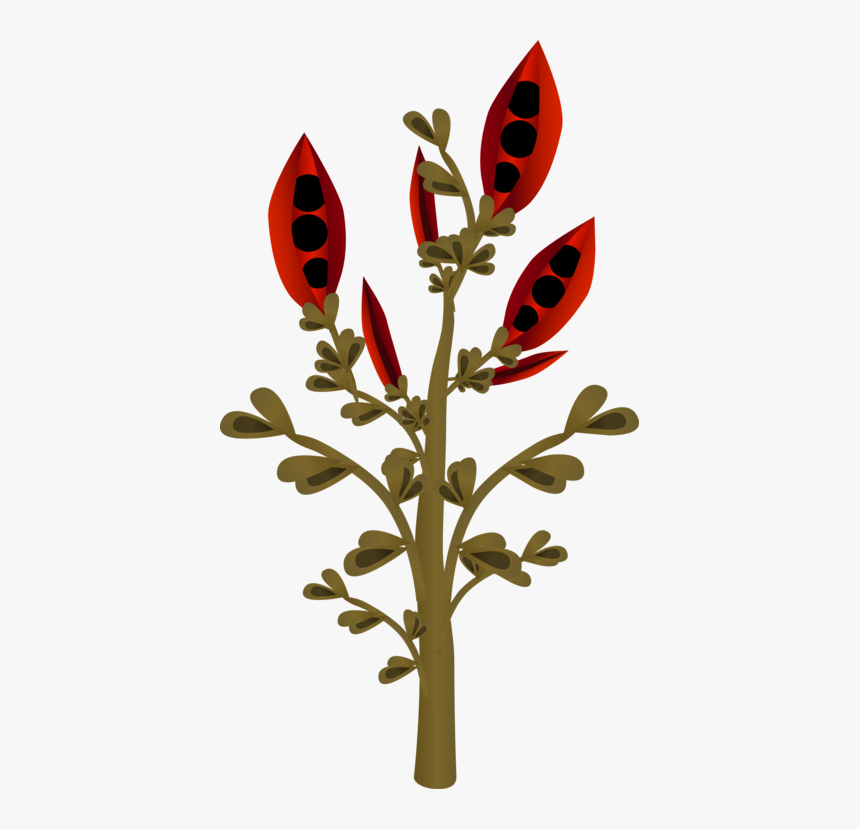 Plant,flora,leaf - Flower, HD Png Download