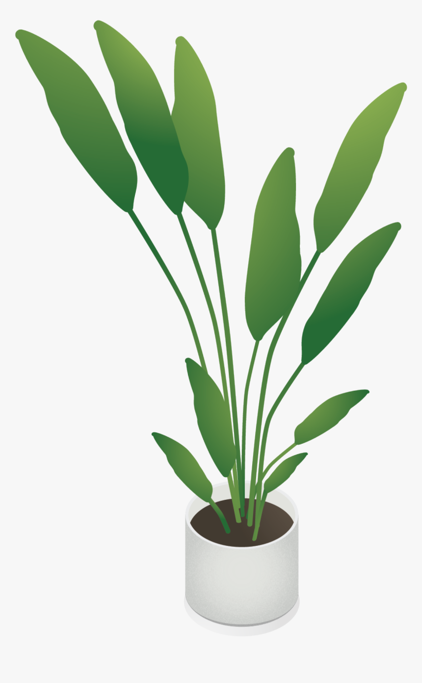 Transparent Outdoor Potted Plants Png - Isometric Plant Png, Png Download