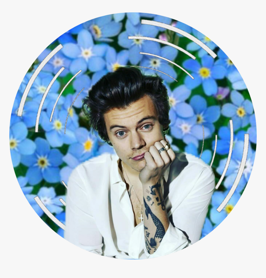Transparent Harry Styles Transparent Png - Harry Styles As Prince Eric, Png Download