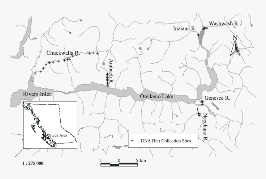 Map, HD Png Download