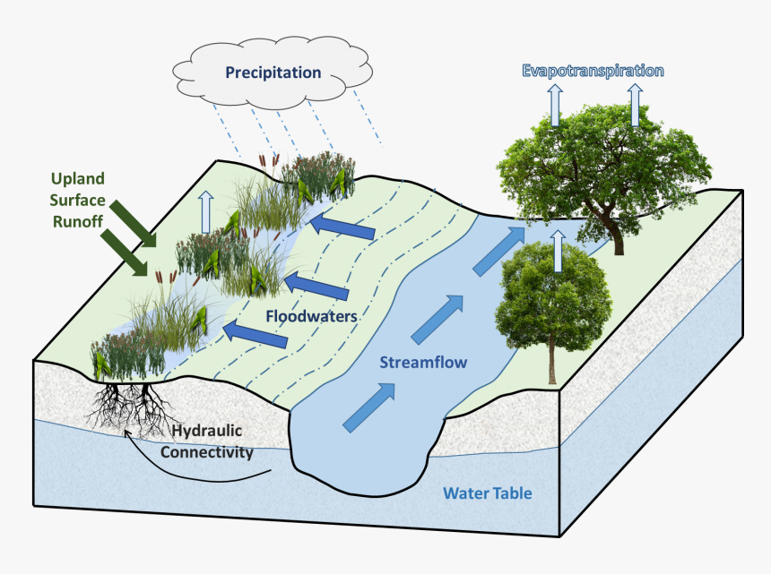 Plan, HD Png Download