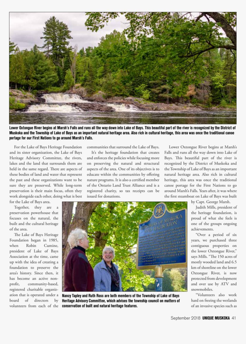 Tree, HD Png Download