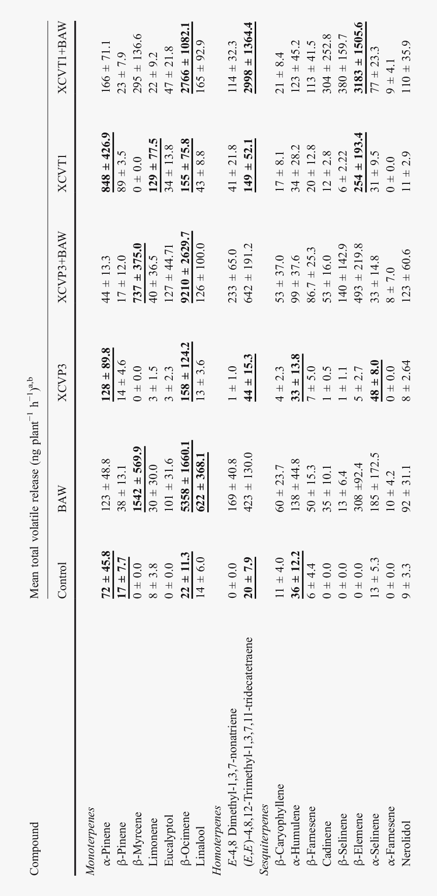 Document, HD Png Download