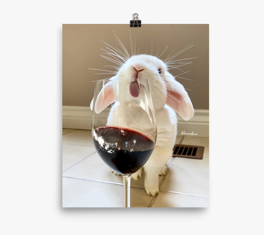 Red Wine, HD Png Download