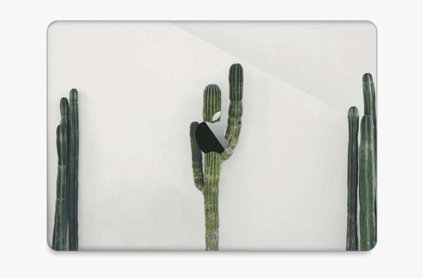 Mexican Cactus Skin Macbook Pro 13” 2016- - San Pedro Cactus, HD Png Download