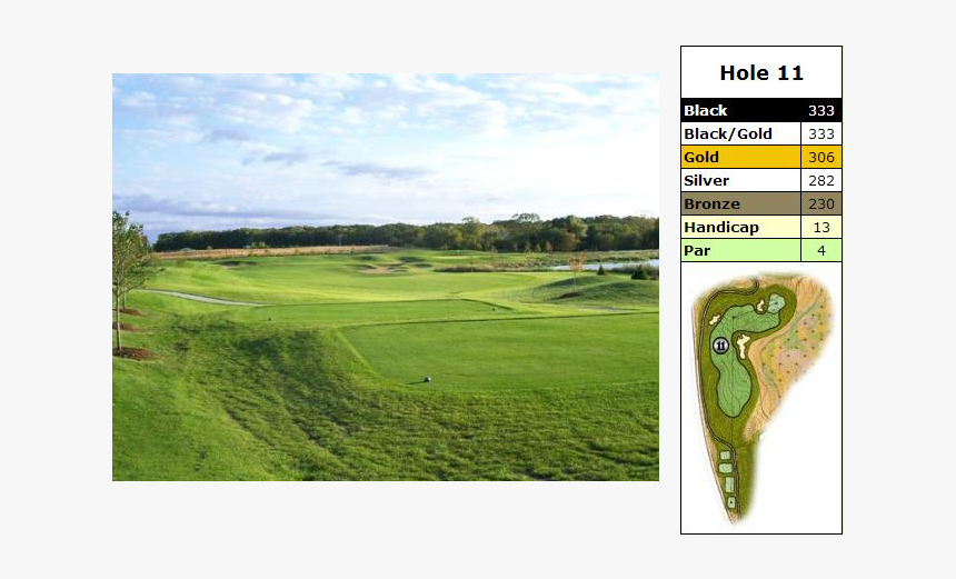 Grass, HD Png Download