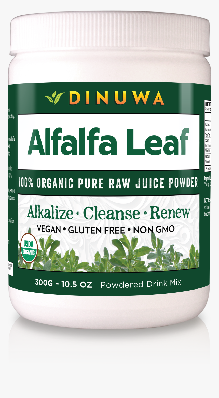 Saw Palmetto, HD Png Download