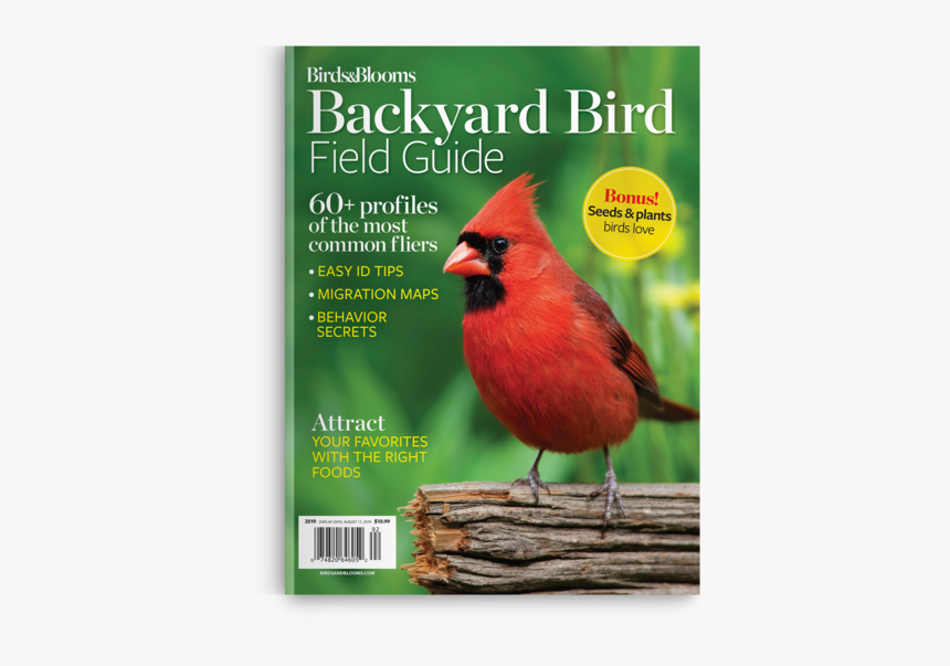 Northern Cardinal, HD Png Download