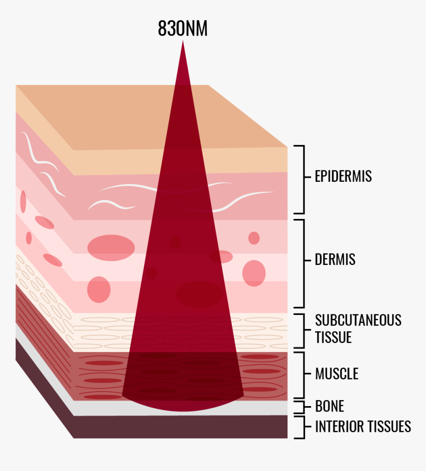 Illustration, HD Png Download