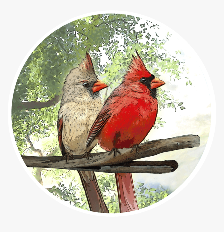 Cardinal Screen Door Magnets, HD Png Download