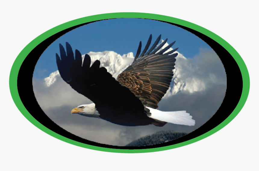 Round Tooth Logo - Military Industrial Complex Meme, HD Png Download