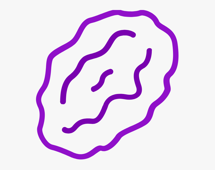 Oneraisin, HD Png Download