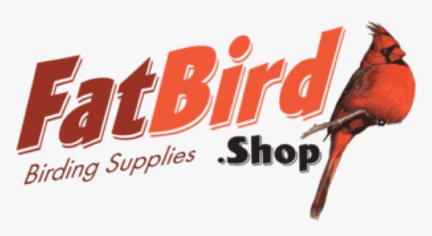 Northern Cardinal, HD Png Download